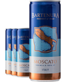 Moscato - Canettes de vin Bartenura 4x250ml